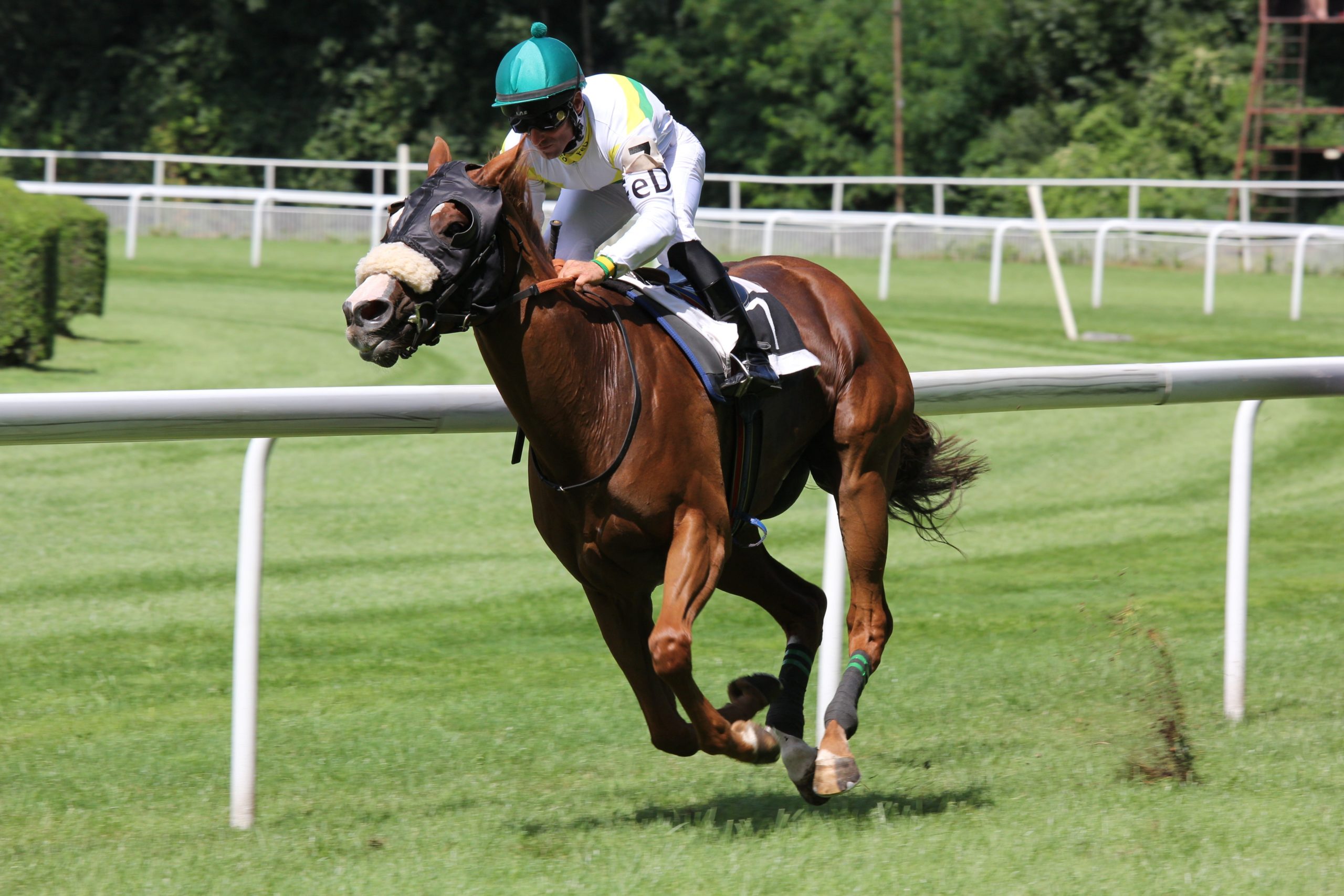 action-athlete-competition-158976